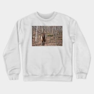 Elk Crewneck Sweatshirt